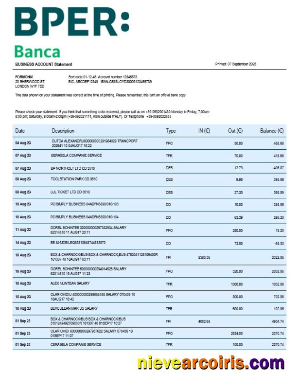 BPER Group organization statement